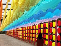 -漩门湾国家湿地公园