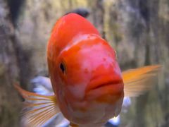 -多彩贵州城极地海洋世界