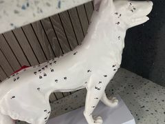 -半岛宠物医院24小时(白果林店)