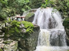 -牛背梁国家森林公园