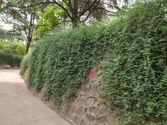 -西安市纺织公园