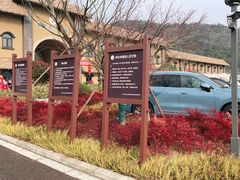 -黄贤森林公园