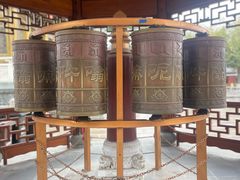 -上海东林寺(金山区)