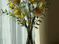 -Tomacado花厨(One ITC店)