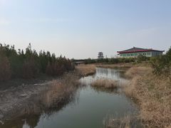 -卤阳湖国家湿地公园