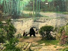 -石排湾郊野公园