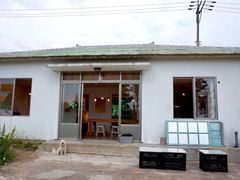 -柑橘农场