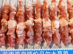 -很久以前羊肉串(朝阳路店)