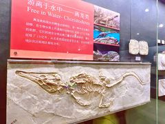 -大连自然博物馆
