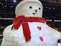 -宁波冰雪大世界(北仑区)