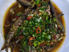 杂鱼-全乐鱼馆·淳牌有机鱼直营店