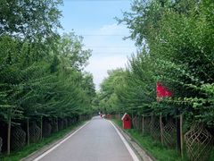 -武汉紫薇都市田园