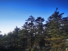 -峨眉山风景名胜区