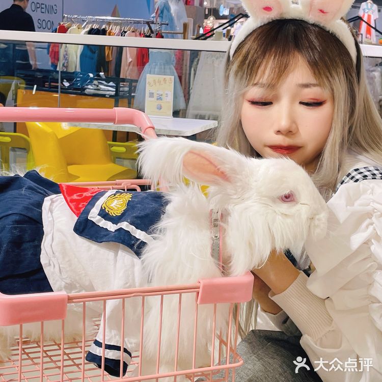 郑州探店｜Nice to meet U🐰爱玩萌兔体验馆