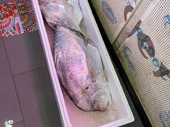 -蛇口市场