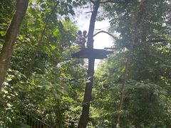 -芦仙山景区-飞越丛林探险乐园