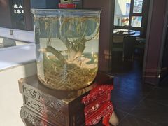 -巧婆婆特色东北菜·铁锅炖