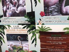 -九龙公园