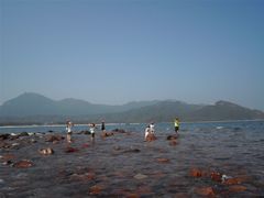 -西涌国际滨海旅游区