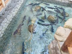 -耕渔小院·湖南鱼鲜(望城店)