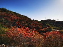 -北京西山国家森林公园