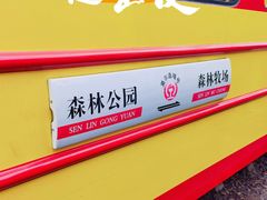 -莫尔道嘎国家森林公园