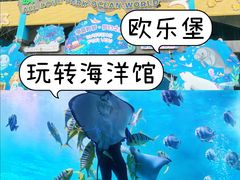 -泉城欧乐堡海洋极地世界