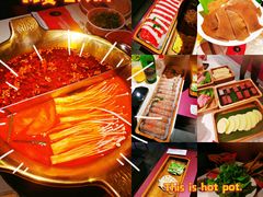 -九鼎轩脆毛肚火锅(三钢里店)