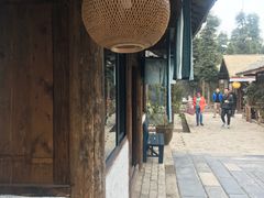 -秀丽东方
