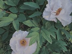 -长安大学(北校区)