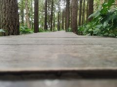 -白草畔自然风景区