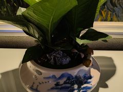 -麓湖国际水疗