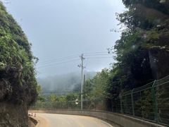 -云南屏边大围山国家公园