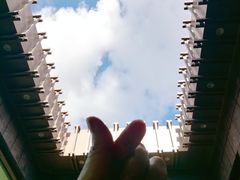 -弘安丽水温泉酒店