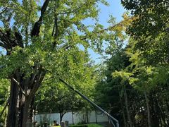 -上海佘山国家森林公园天马山园