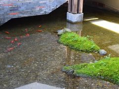 -几荷·恰似故人来(秀水广场店)