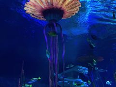 -沈阳海洋探索中心