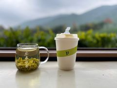 -白茶原·一片叶子
