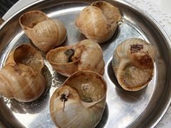 鹅肝蜗牛-金蜗牛