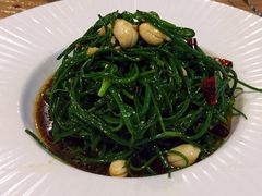 -老阿妈蒙古村·蒙古包·草原文化·歌舞表演(老君堂店)