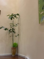 -可樱汇·美容洗发SPA