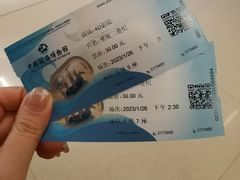 -上海中国航海博物馆