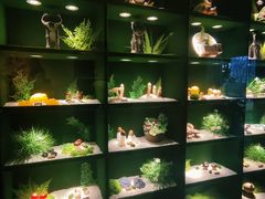 -慢丽江·云南野生菌土鸡锅(西山店)