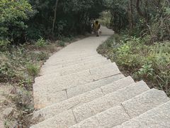 -梧桐山风景名胜区