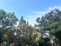 -四川大学(望江校区)