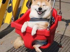 -美滋每客(太原龙湖苏宁百货店)