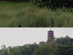 -红花山公园