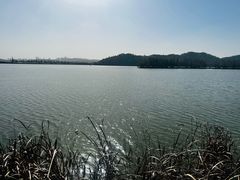 -东湖落雁景区