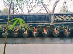 -秋霞圃