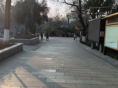 -莲湖公园